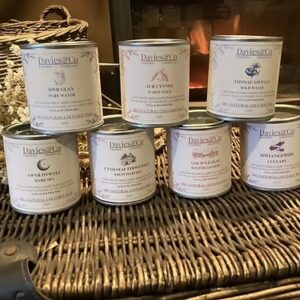 Dinefwr Coco-soy Scented candle