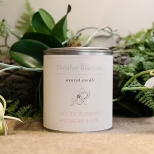 Scented Candle – Dol Y Gwanwyn / Spring Meadow