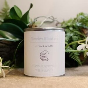 Scented Candle – Tonnau Gwyllt / Wild Waves